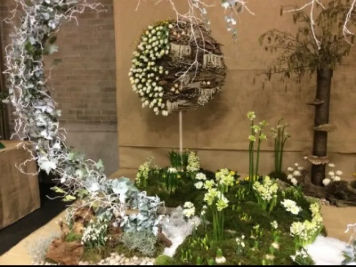 Display 4