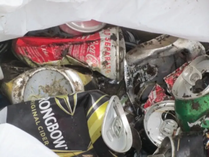 Litter1 (1)