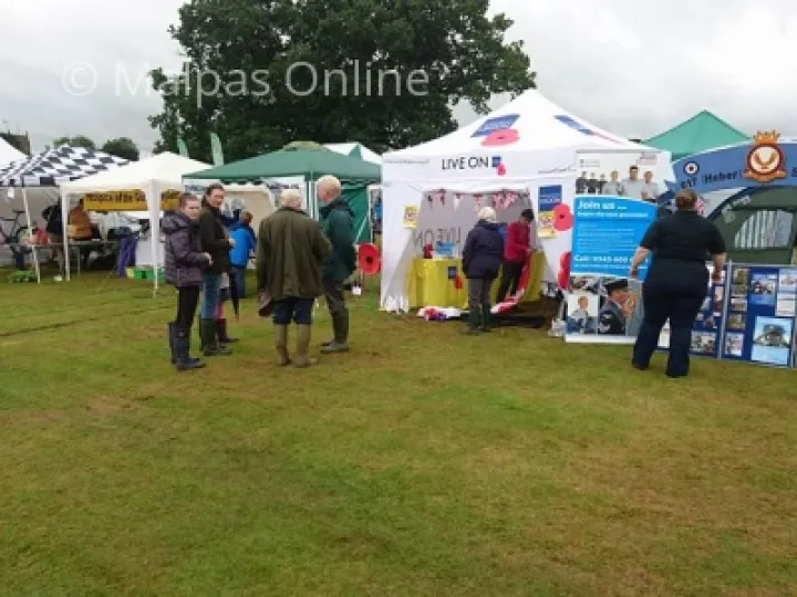 web fair pic 7