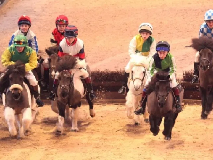 ponyu jumping