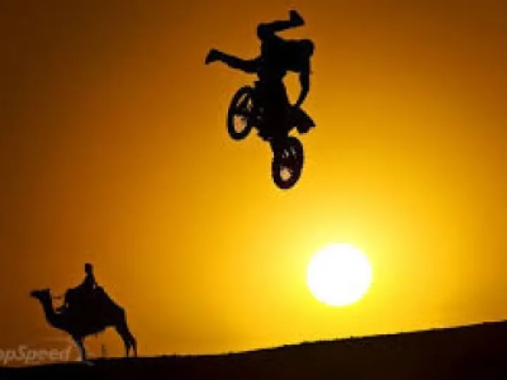 camel and red bull