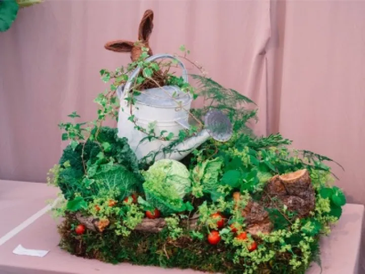 Mr McGregors Garden