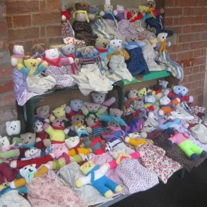 2016 teddies