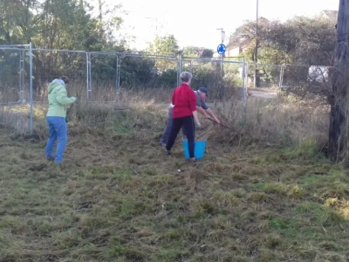 Gardening (3)