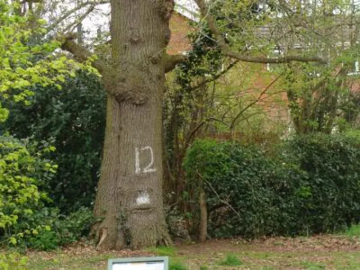 Woodland Signage