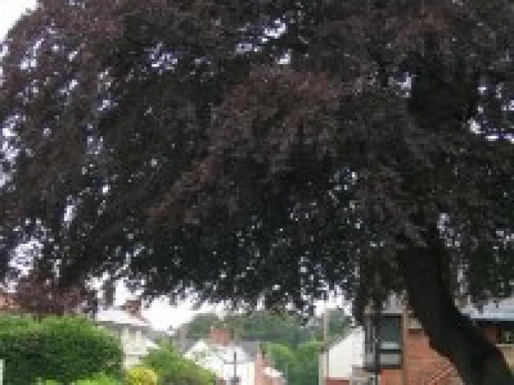 Lower High St