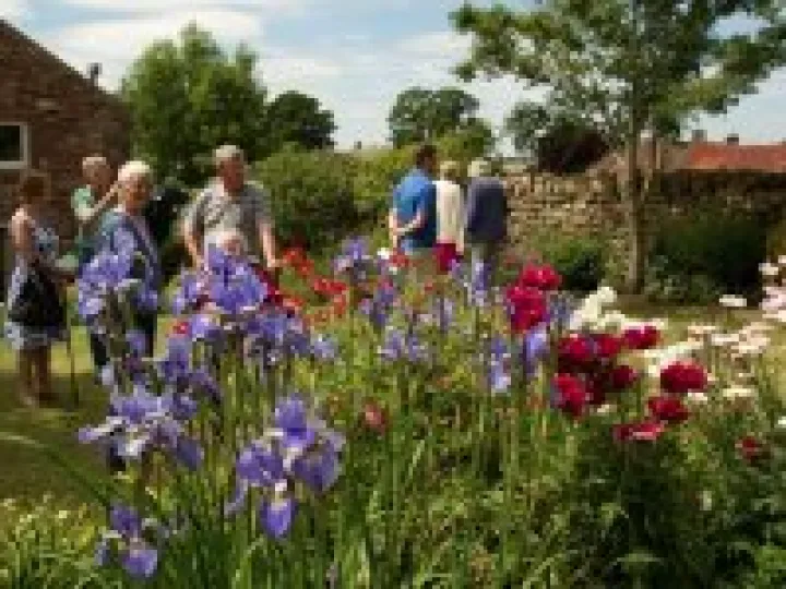 Open Gardens 02