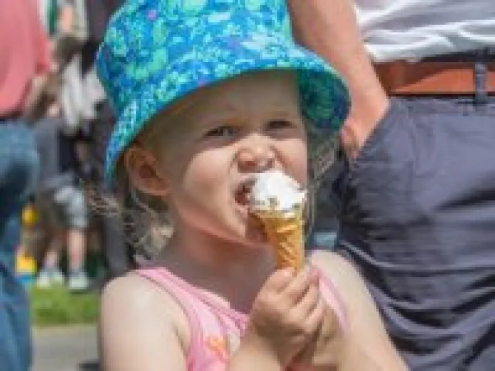 Haddenham Fete 29