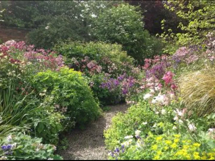 Bee haven