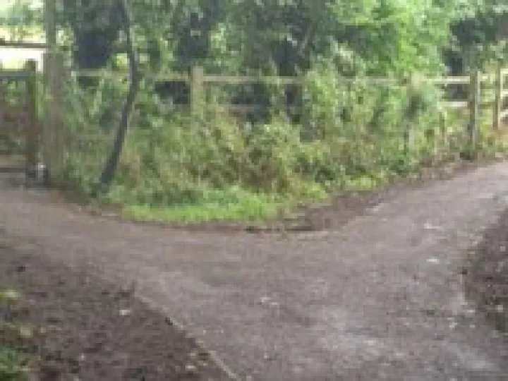 Community Woodland