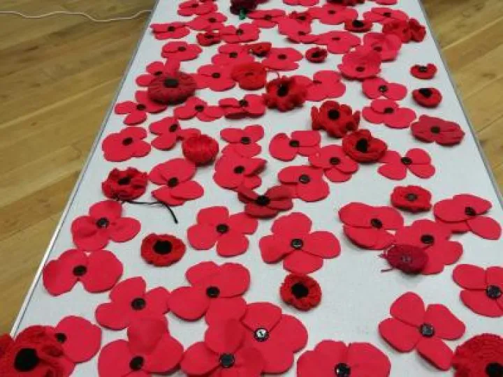 Guides Poppies