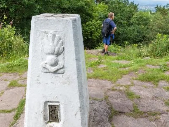 Trig Point crop