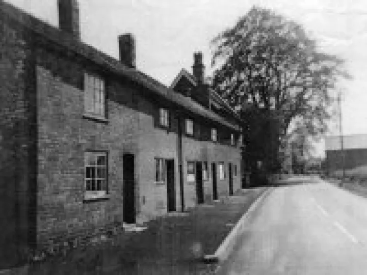 Muslin Row