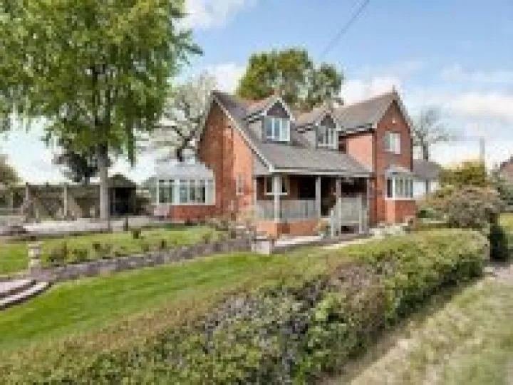 Meadow View