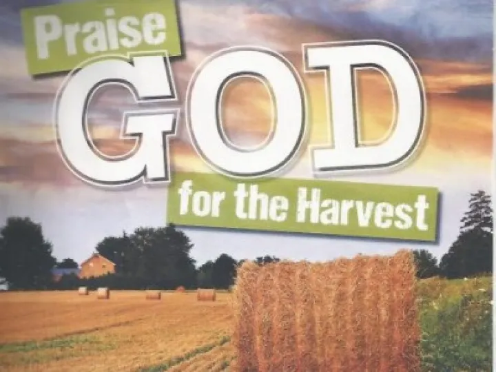 Harvest '19