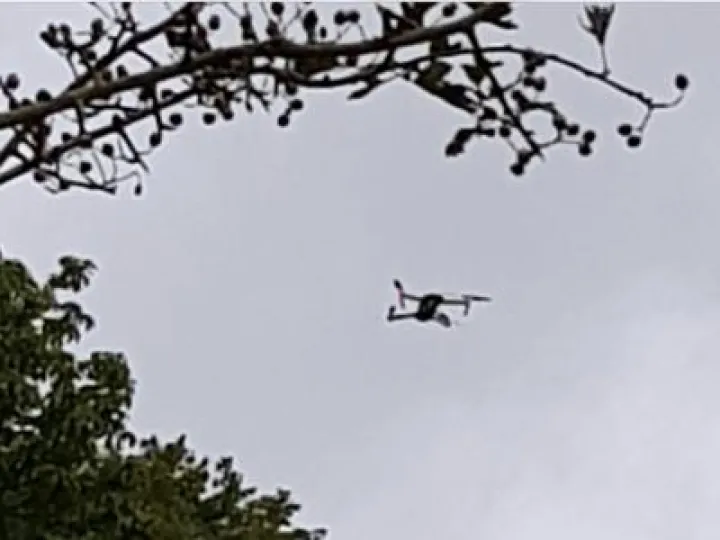 DRONES
