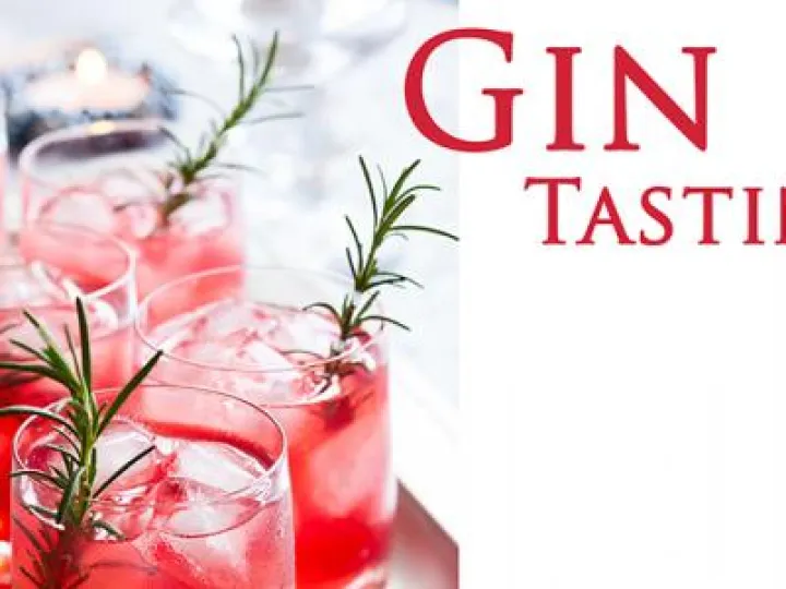 gin2