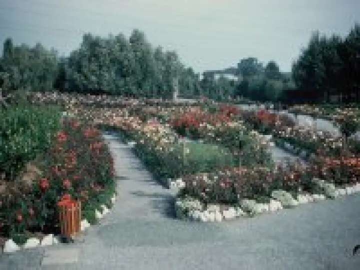 CZ_Sept1960