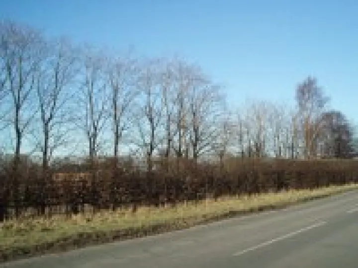 P1010002Ollerton