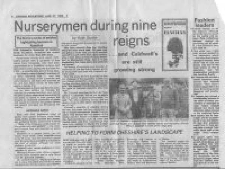 Newspaper1A