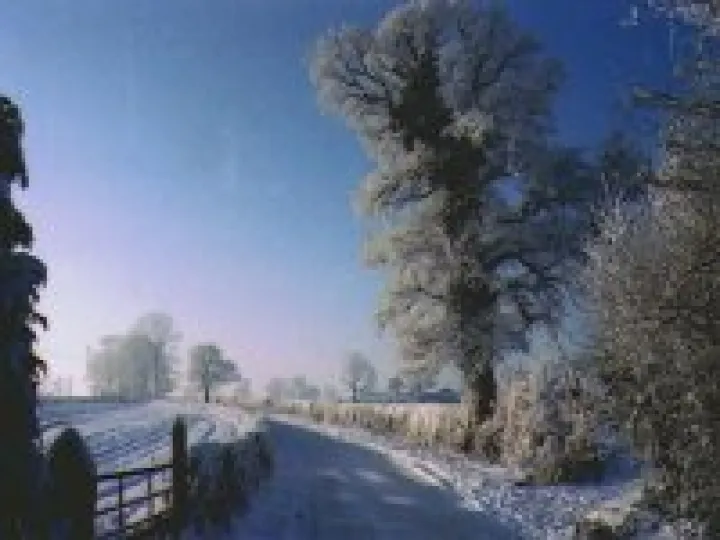 Tarvinwinter