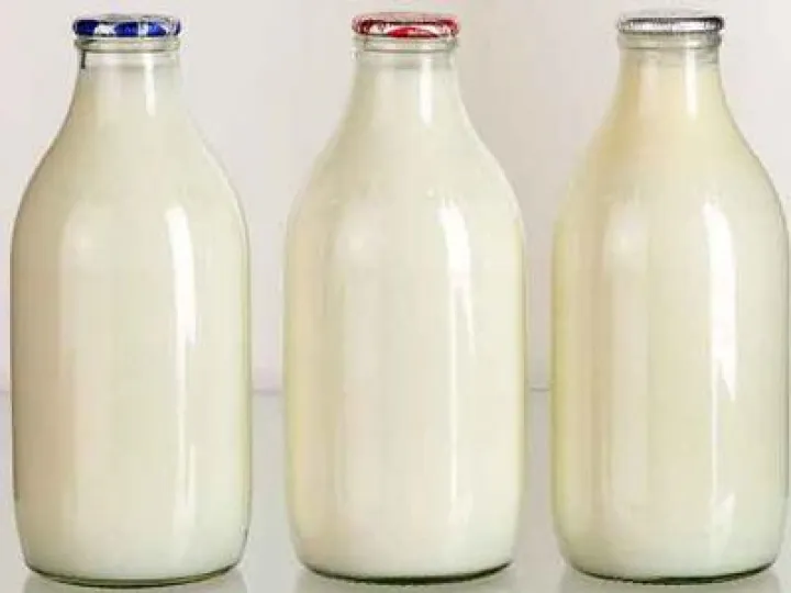 Milk
