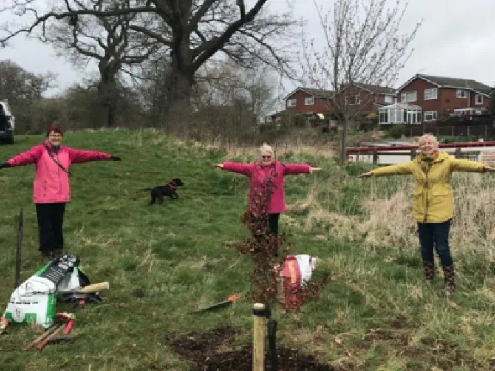 Tree Planting