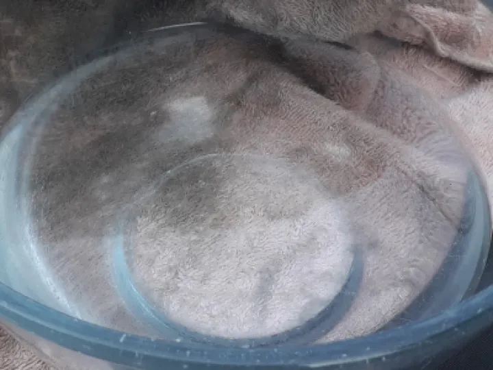 Bowl & Towel