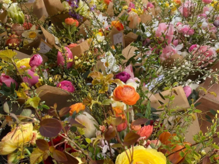 Carols Garden