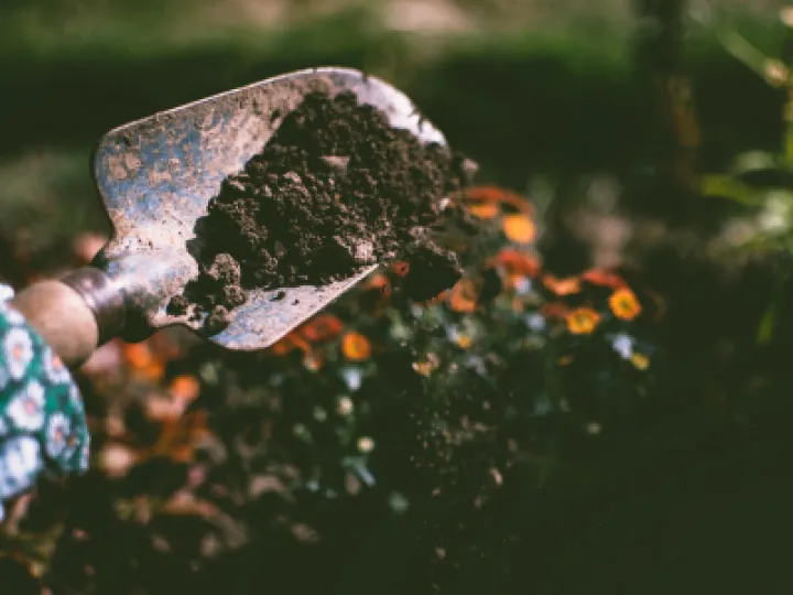 Gardening