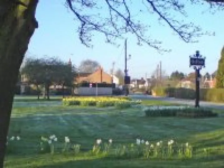 Little Heath with daffodils