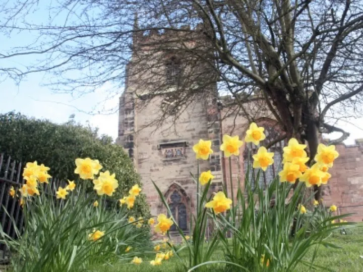 Spring Flowers