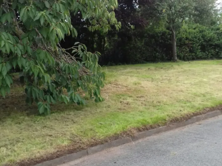 more grass cutting