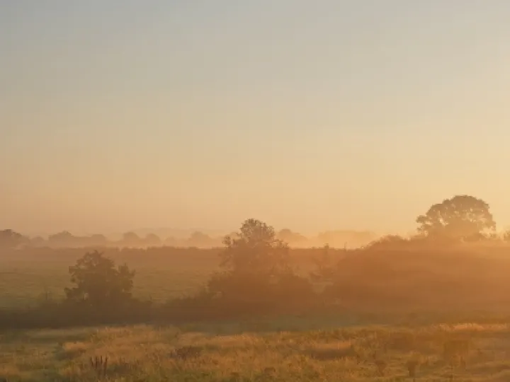 Misty Morn_JT