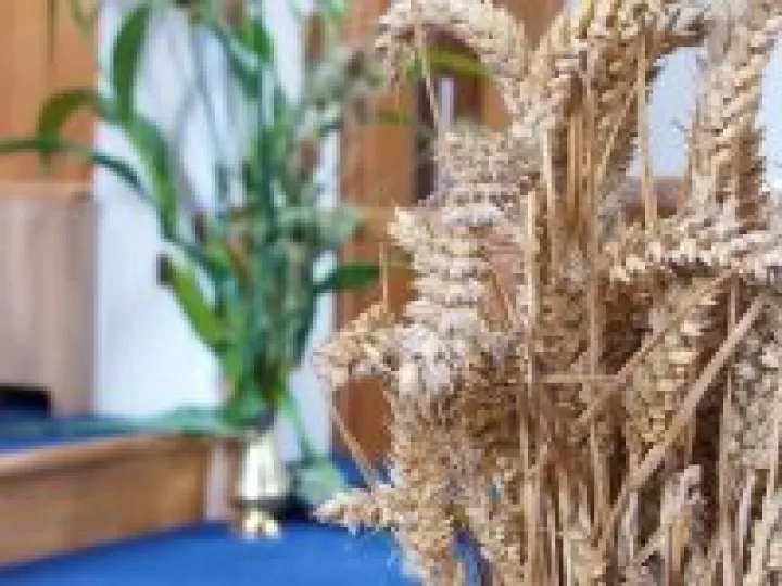 Harvest