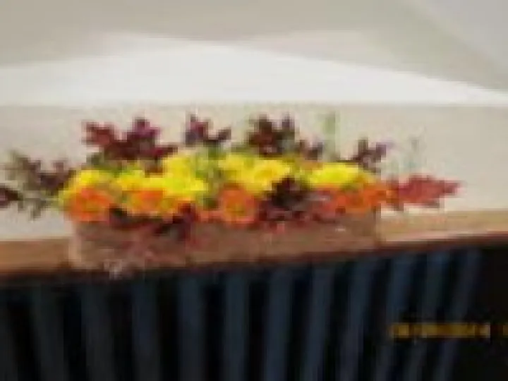 Harvest 5