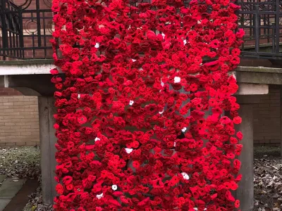 Central poppies
