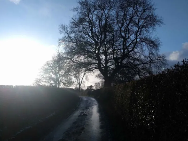 Monks lane