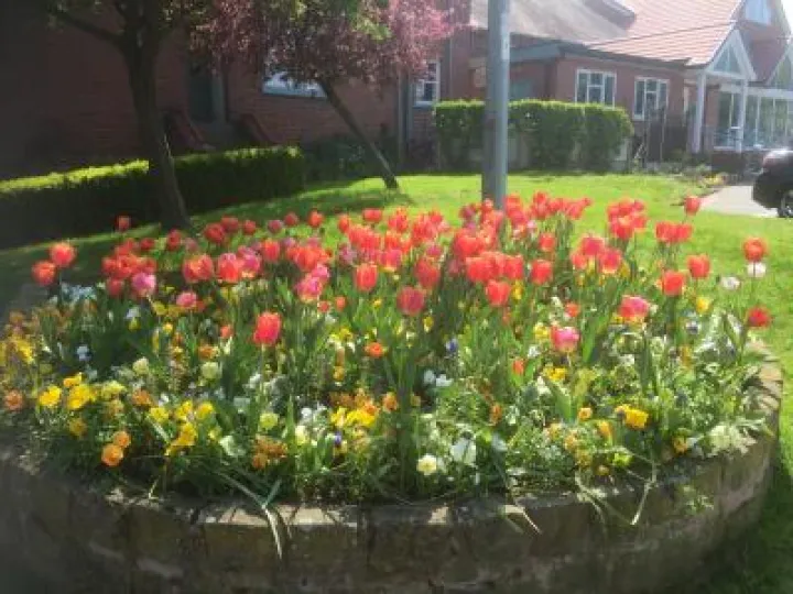 spring 2018