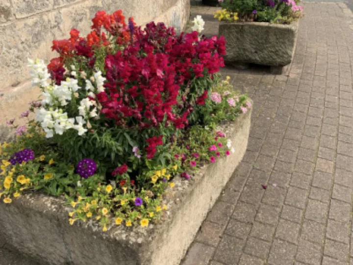 ST JAMES TROUGHS-2