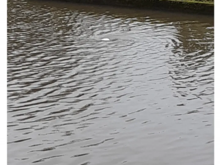 another whirlpool