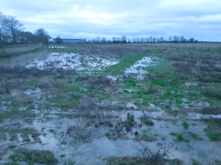 Flooded HAD007