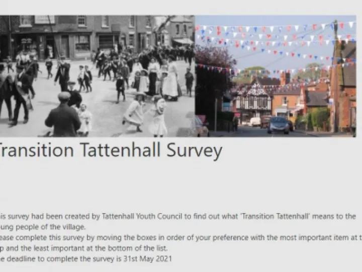 Survey Image