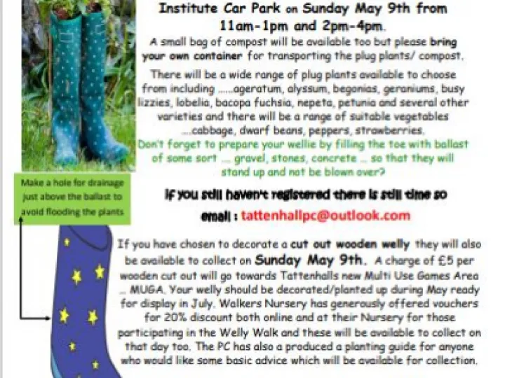 Welly Walk Update 2