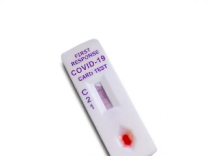 Lateral Flow Test