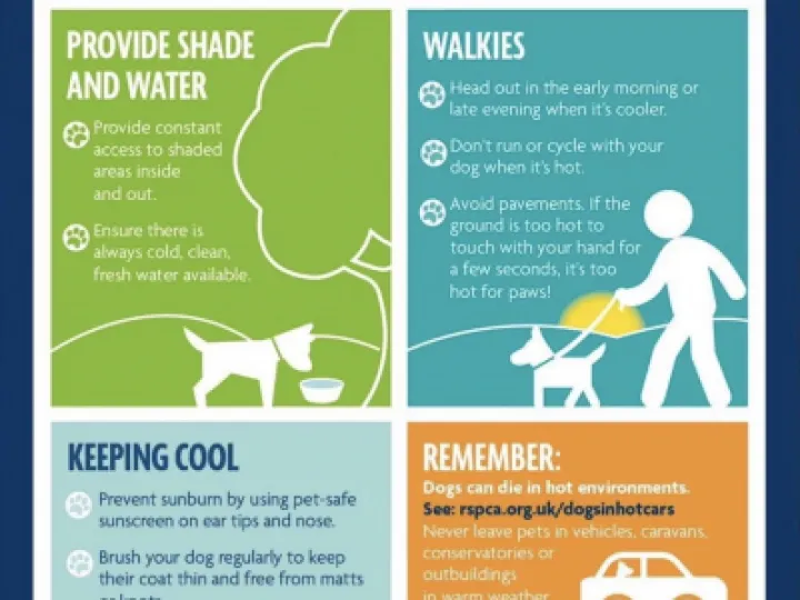 Keep Pets Safe