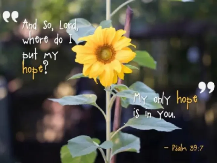 Psalm 39 v7