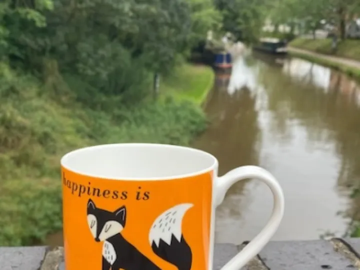 fox mug