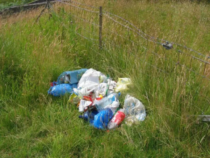 Litter