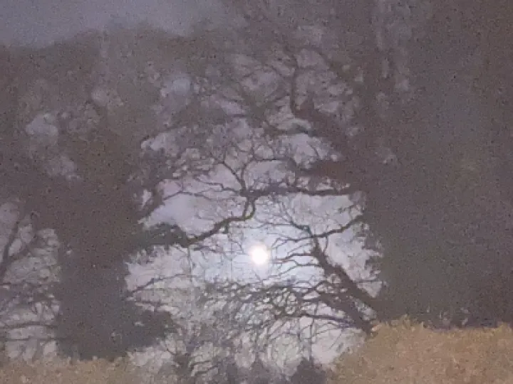 Full Moon